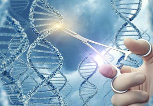 賀建奎最新回應 堅信倫理與生物技術開發終將同行