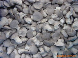 邯鄲市兆輝生物科技 深耕生物技術開發，打造多元化高品質食用菌產品矩陣